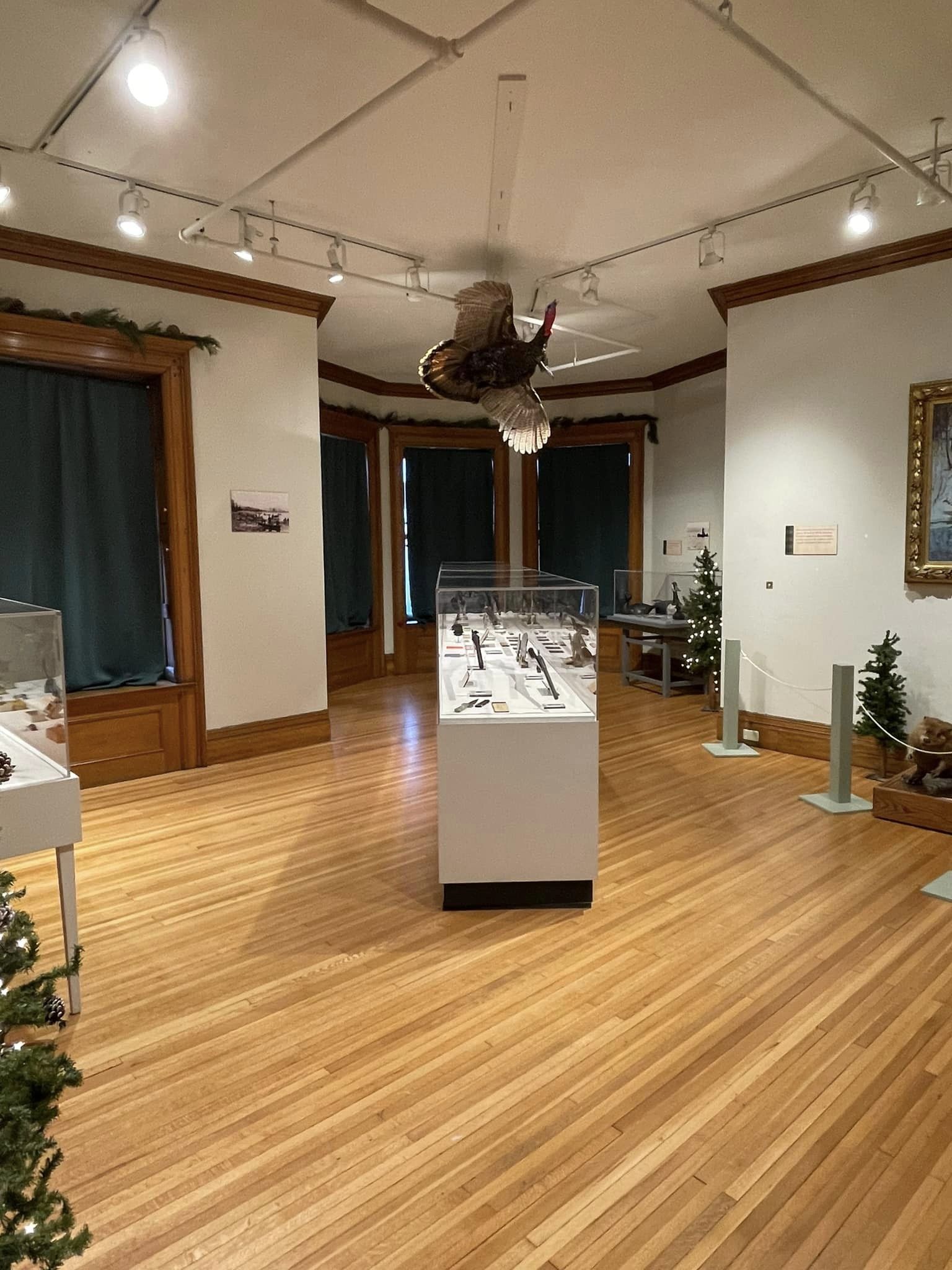 New exhibits in WatsonCurtze Mansion now open Hagen History Center